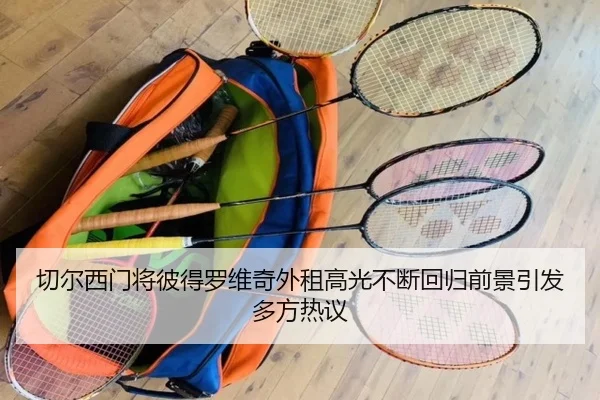 切尔西门将彼得罗维奇外租高光不断回归前景引发多方热议